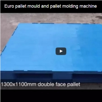 Euro pallet mould and pallet molding machine
