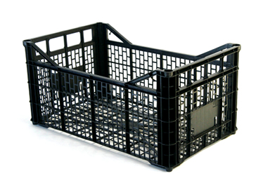 Disposable Fruit Crate Mould