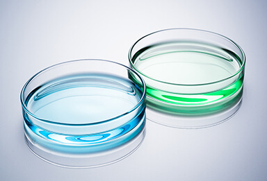 Plastic Petri Dish Mould