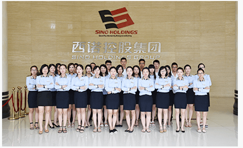 Service Team - Sino Mould