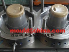 Plastic Mold-06